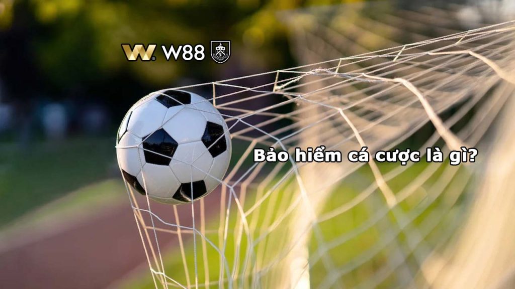 bao hiem ca cuoc la gi