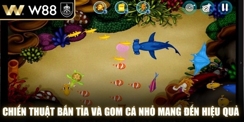 Chiến thuật bắn tỉa và gom cá nhỏ mang đến hiệu quả cao cho anh em