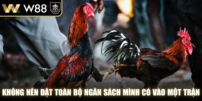 Không nên đặt toàn bộ ngân sách mình có vào một trận đấu duy nhất