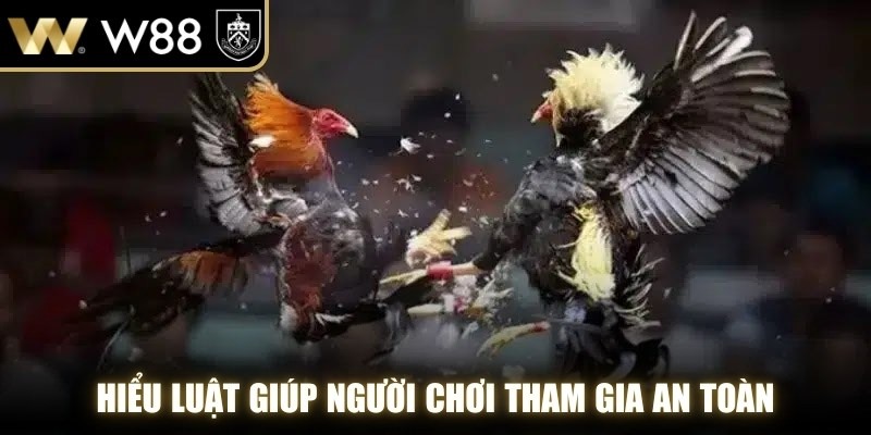 Hiểu luật giúp người chơi tham gia an toàn, phân tích trận đấu chuẩn xác hơn