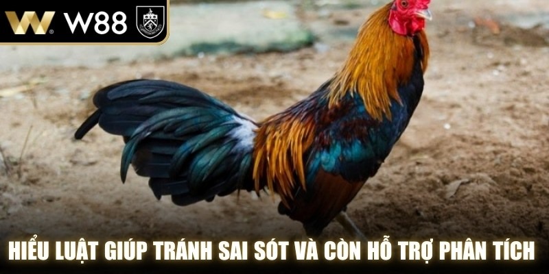 Hiểu luật giúp tránh sai sót và còn hỗ trợ phân tích trận đấu chính xác hơn