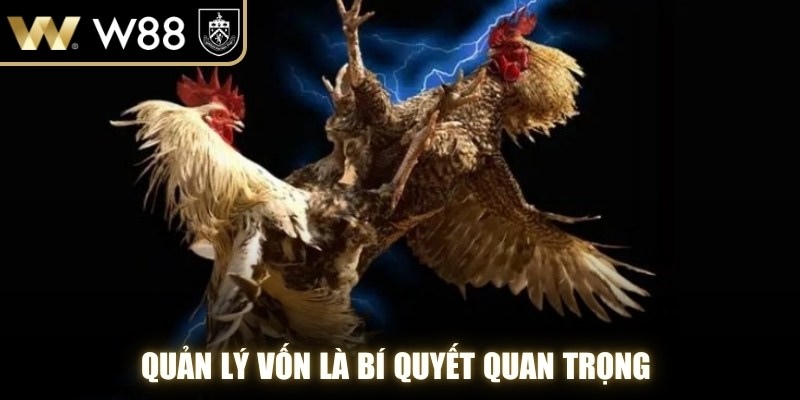 Quản lý vốn là bí quyết quan trọng giúp cược thủ duy trì cuộc chơi lâu dài