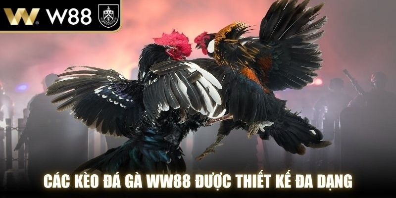 Các kèo đá gà WW88 được thiết kế đa dạng, phù hợp với nhiều cách chơi khác nhau