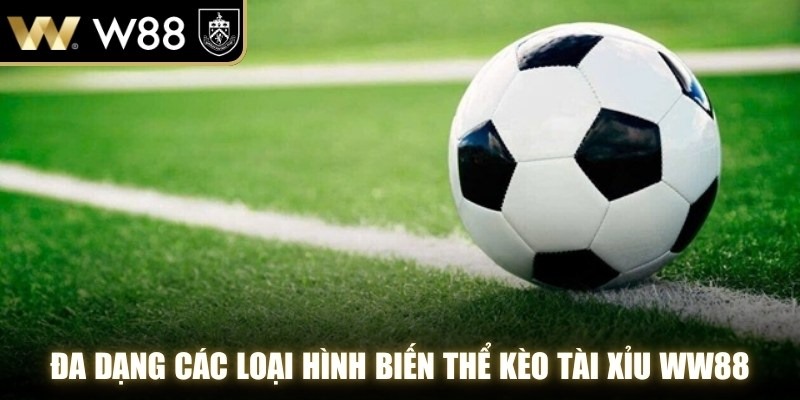 Đa dạng các loại hình biến thể Kèo Tài Xỉu WW88