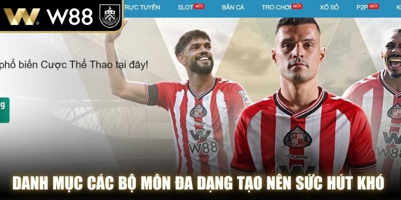 Danh mục các bộ môn đa dạng tạo nên sức hút khó cưỡng cho thể thao WW88